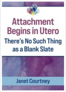 Attachment Begins in Utero